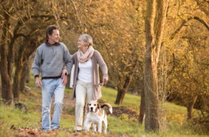 Low impact exercise for seniors: Man, woman and dog walking through a woodland