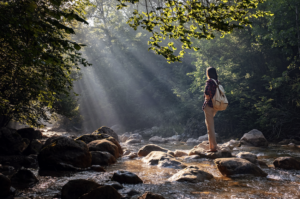 Mental health benefits of walking: Woman walking on pebbles in forest
